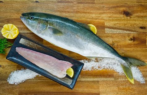 king fish|Fish King Seafood.